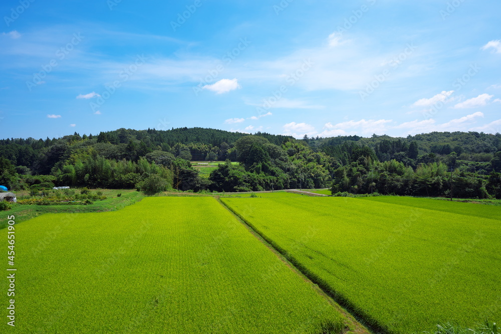 Fototapeta premium 快晴の日の静かで美しい農村の風景