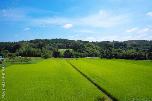 Fototapeta Naklejka Na Ścianę i Meble -  快晴の日の静かで美しい農村の風景