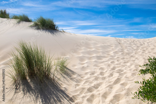 Sand dunes in the Peron Dunes of St Helens Conservation Area in Tasmania  Australia