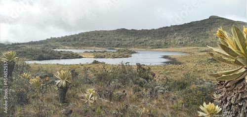 Laguna de la herradura
Tierradentro magico y cultural photo