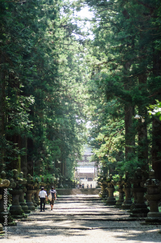 北口富士浅間神社　参道・石灯籠（山梨県） photo