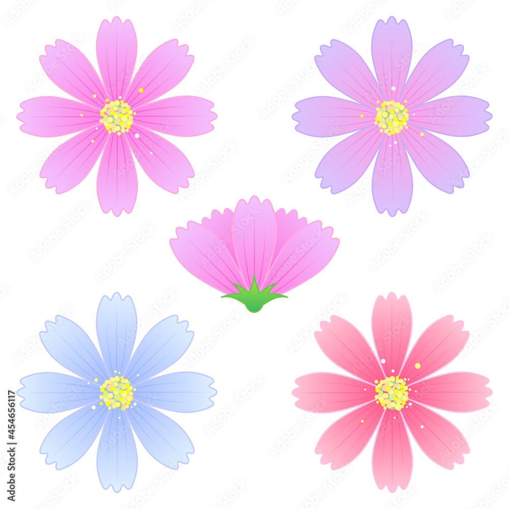 秋の花、コスモス素材 秋の花、コスモス素材