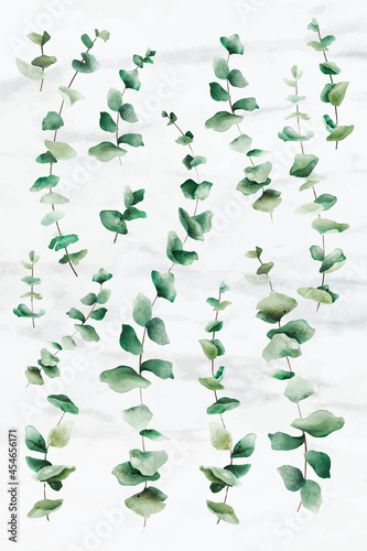 Fotografia, Obraz Hand-drawn eucalyptus leaves on white marble background