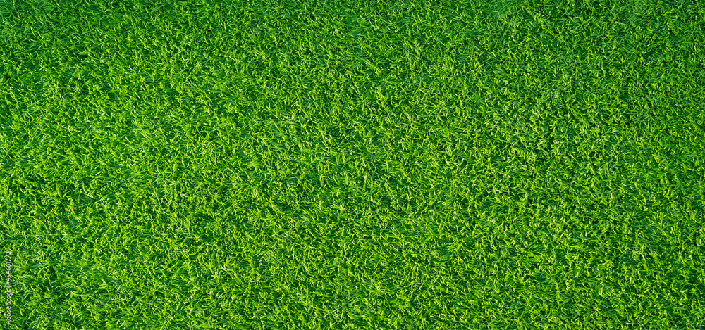 Obraz premium Green grass background, football field 