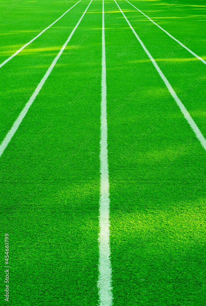 Green grass background, football field

