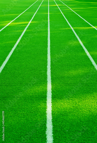Green grass background, football field  © waranyu