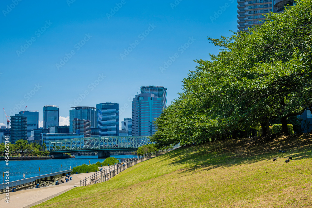 Fototapeta premium 石川島公園