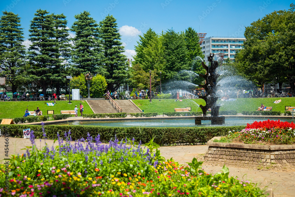 Fototapeta premium 快晴の世田谷公園