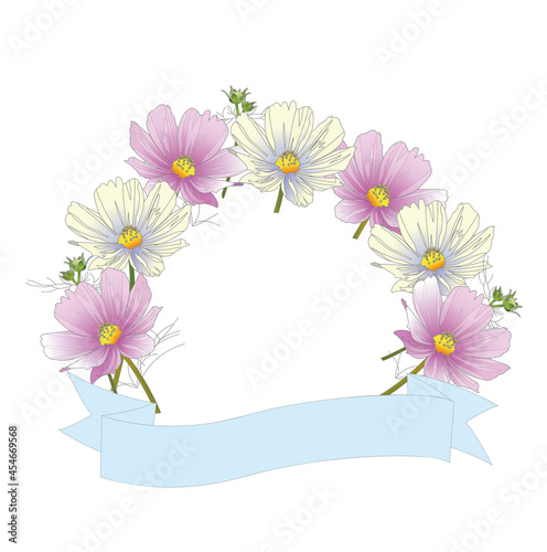 コスモスのフレーム