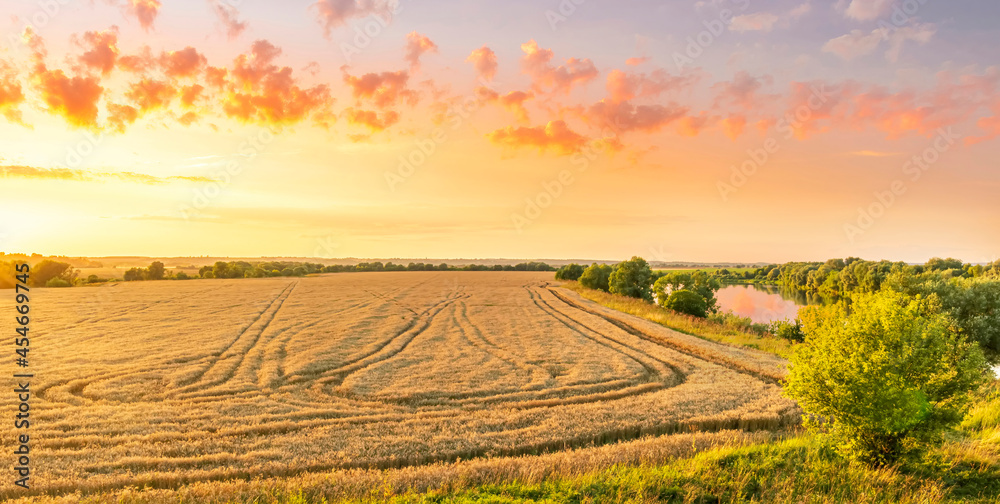 Scenic view at beautiful summer sunset in a wheaten shiny field with golden wheat and sun rays, deep colorful cloudy sky, rows leading far away, valley landscape Scenic view at beautiful summer sunset in a wheaten shiny field with golden wheat and sun rays, deep colorful cloudy sky, rows leading far away, valley landscape