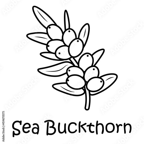 Badge sea buckthorn with the inscription. Vector image, eps