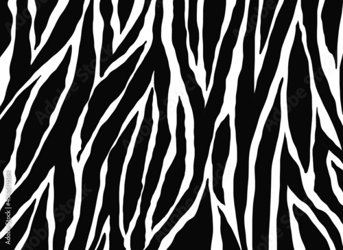 zebra pattern. Animals nature  background