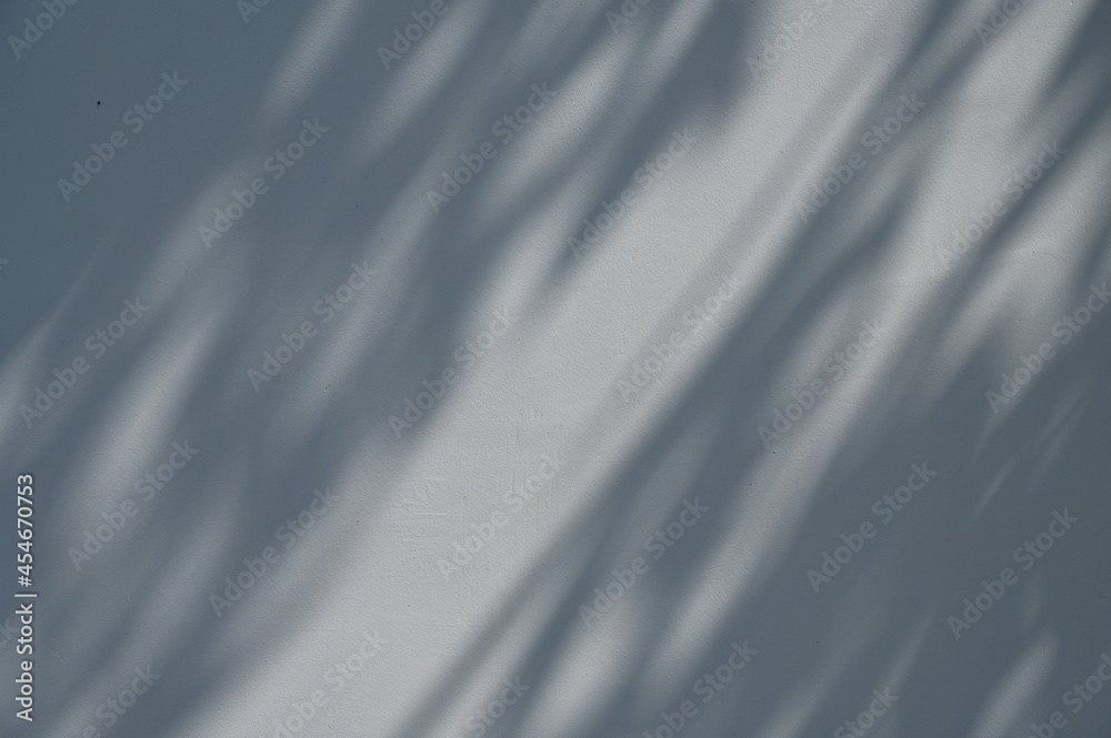Abstract gray shadow background of natural leaves tree branch falling wall texture for background and wallpaper, nature shadow pattern art on wall
Abstract gray shadow background of natural leaves tree branch falling wall texture for background and wallpaper, nature shadow pattern art on wall