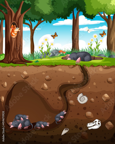 Underground animal burrow with mole family © blueringmedia