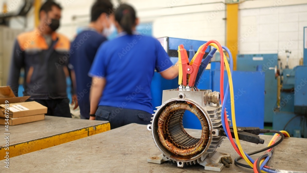 Surge Test and Insulation Resistance Test of Induction motor in