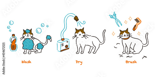 猫のトリミングの流れ