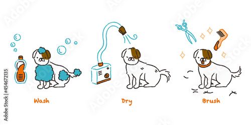 犬のトリミングの流れ