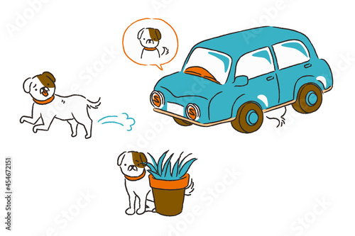 脱走して隠れる犬