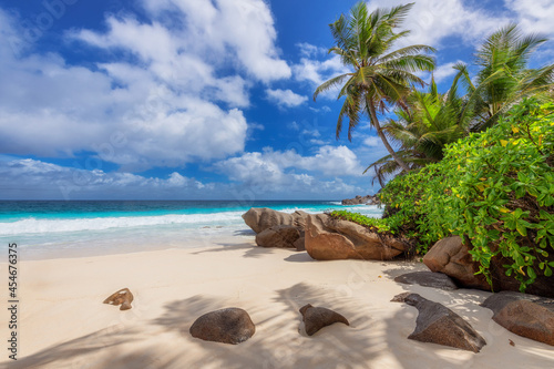 Exotic Sunny beach and coconut palms and beautiful stones on Seychelles. Summer vacation and tropical beach concept.