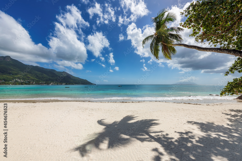 Sandy beach and palm trees on tropical island Sandy beach and palm trees on tropical island