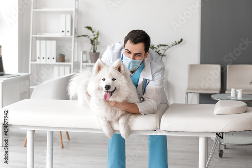 Veterinarian examining cute...