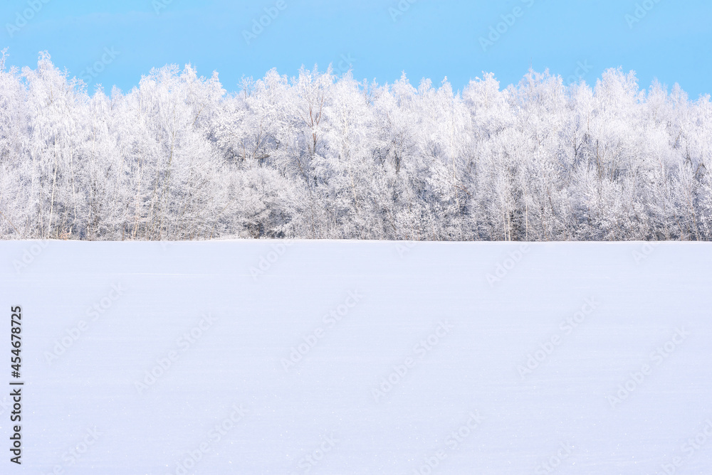 winter forest in severe frost covered with hoarfrost winter forest in severe frost covered with hoarfrost