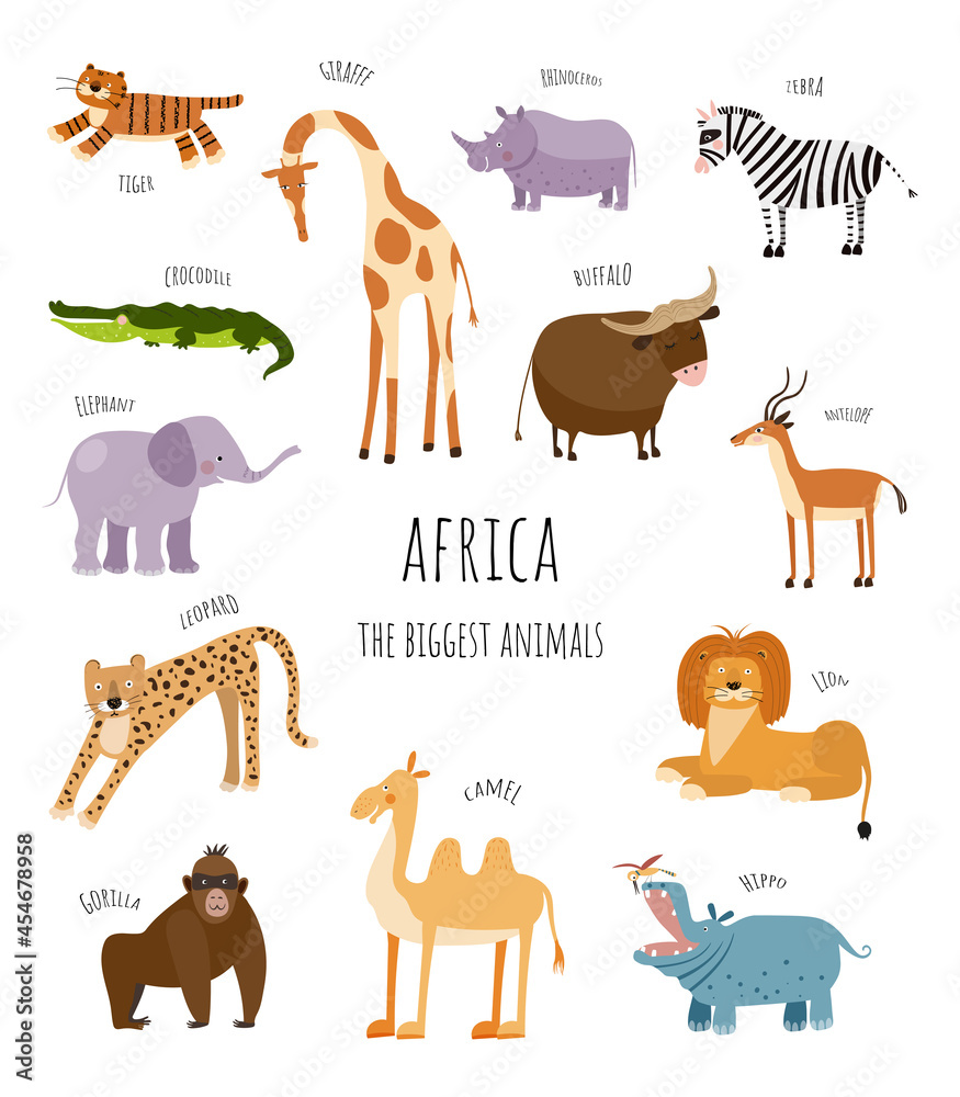 Vector collection with biggest african animals. Illustration with cute  animals for children. Elephant, giraffe, crocodile, tiger, buffalo, zebra,  antelope and rhino. Stock Vector | Adobe Stock