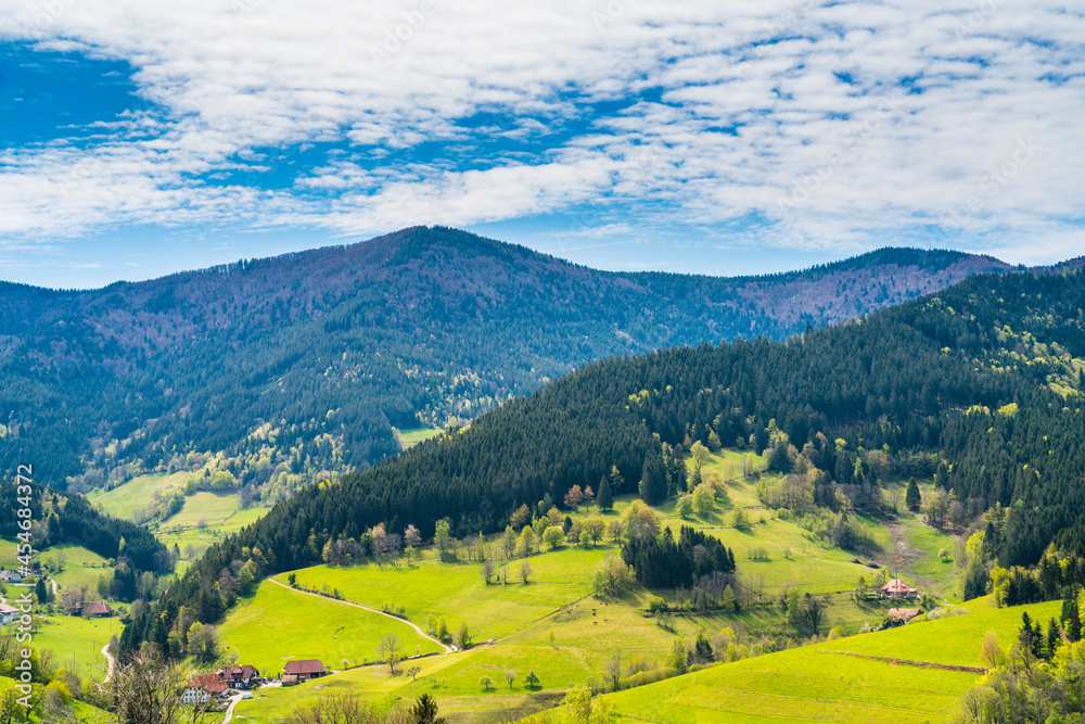 Germany, Schwarzwald village houses surrounded by beautiful forest covered mountains nature landscape perfect for hiking and tourism, aerial panorama view above