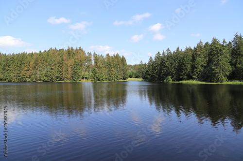 a pond in the Harz Mountains 