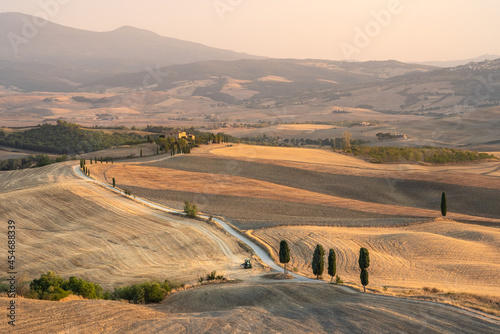 Wallpaper Mural Beautiful tuscanian landscape at sunset, with dirt track curving between harvested wheat fields and cypress trees Torontodigital.ca
