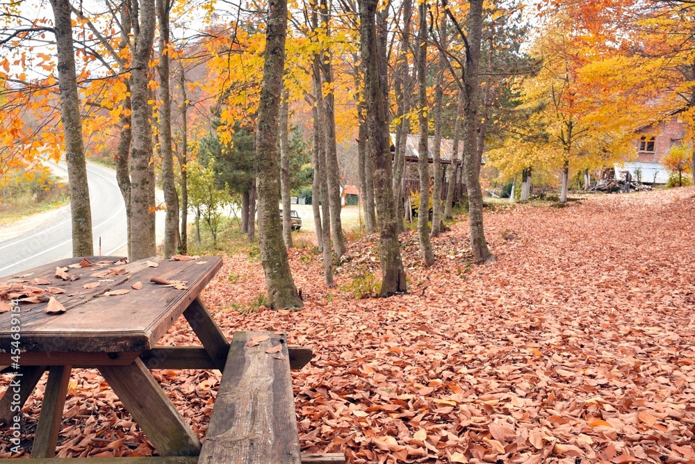 bench in autumn park