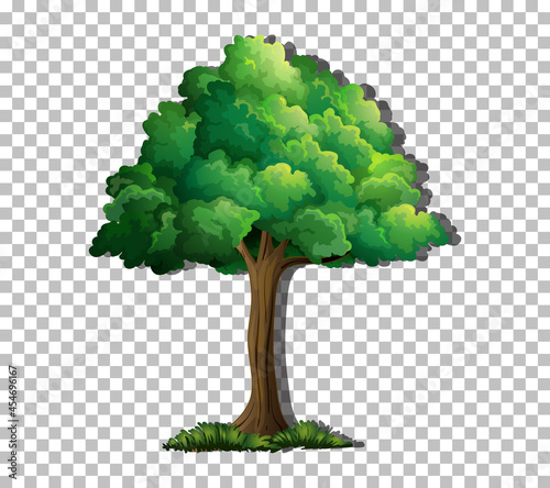 A tree isolated on transparent background