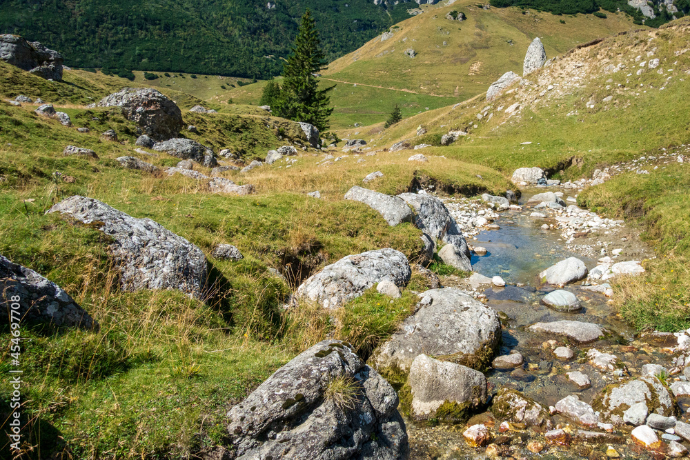 Fast river near forest in Bucegi mountains,  Romania