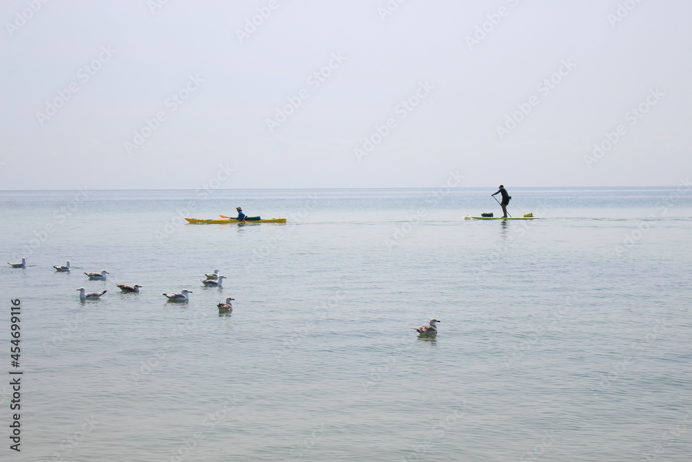 Tourists sail in kayaks on the sea around an island in the Black Sea