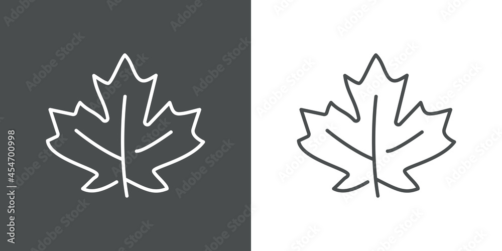 Icono silueta de hoja de arce con lineas en fondo gris y fondo blanco Icono silueta de hoja de arce con lineas en fondo gris y fondo blanco