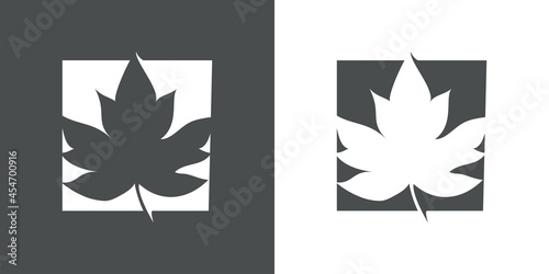 Icono silueta de hoja de arce en cuadrado en fondo gris y fondo blanco