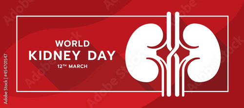 world kidney day text and white human kidney sign in frame abstract red curve texture background vector design