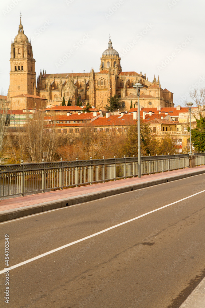 Catedral o Cathedral en la ciudad de Salamanca, comunidad autonoma de Castilla y Leon, pais de España o Spain