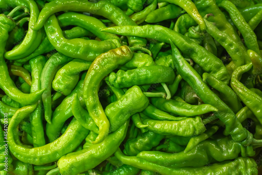 Conjunto de pimientos verdes de freir a granel Conjunto de pimientos verdes de freir a granel