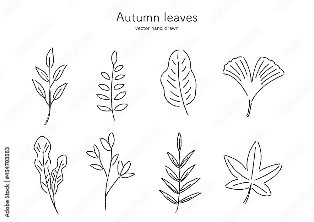 秋 手書きの葉っぱ イラストセット モノクロ Stock Vector Adobe Stock