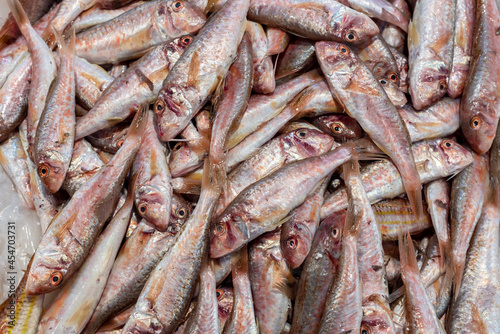 Conjunto de salmonetes frescos photo