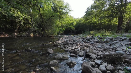 Wallpaper Mural FPV Aerial shot dynamic flying at natural landscape river canyon in the dense green forest and rapid movement. Shooting from fpv helicopter low key scenery. Torontodigital.ca