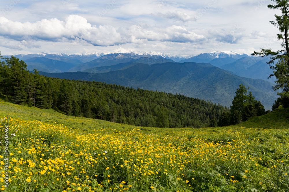 Fototapeta premium Scenic view of Altai mountains and blooming meadow against clouded sky near to Tyungur village