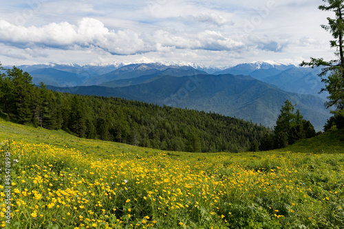 Scenic view of Altai mountains and blooming meadow against clouded sky near to Tyungur village