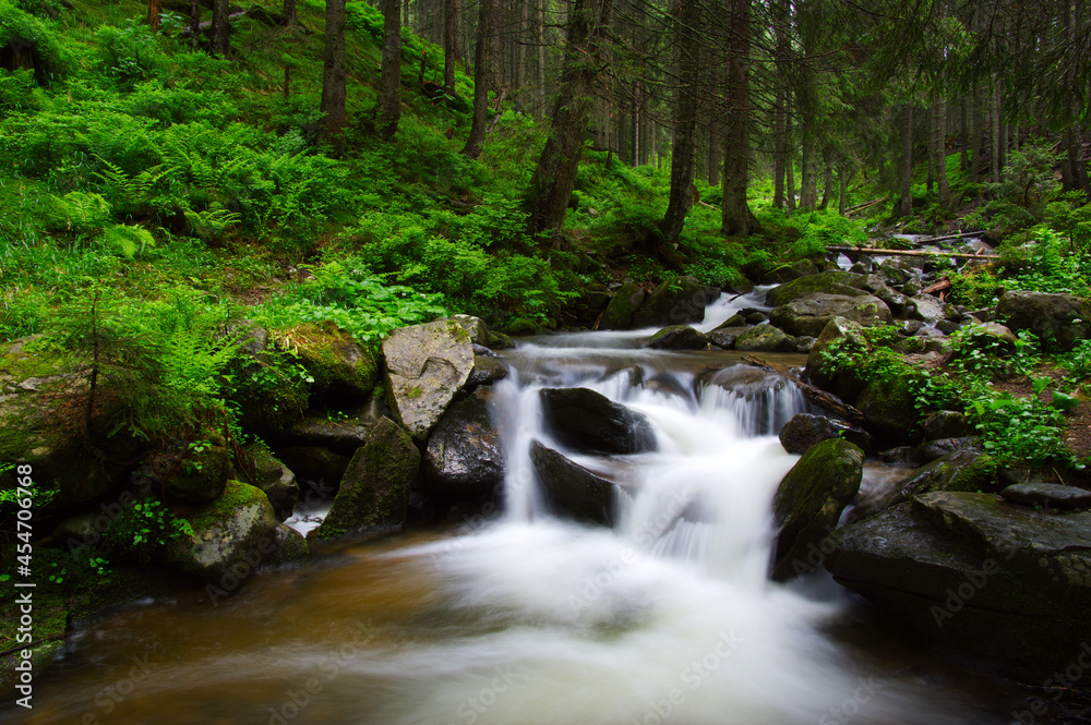 River in the woods