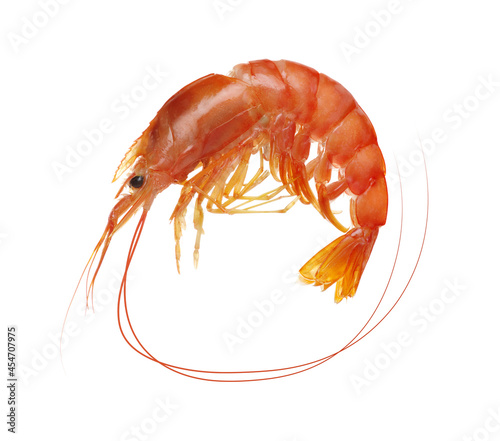  fresh boiled tiger shrimp isolated on white