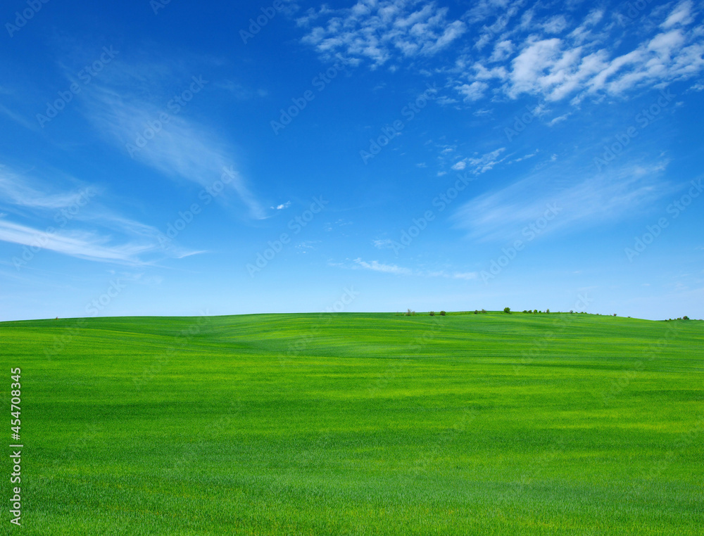  field and sky