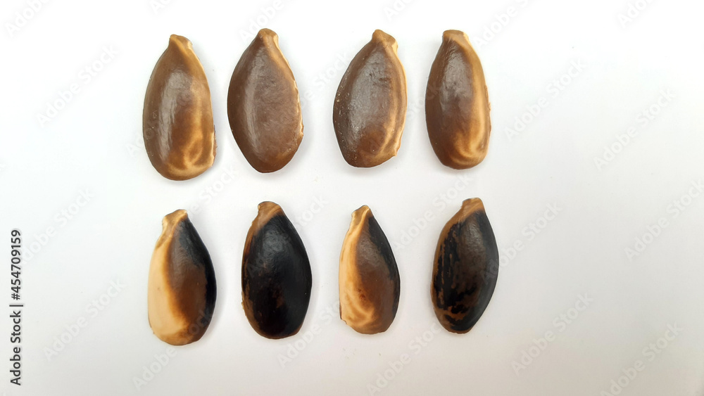 Sapodilla Seeds isolated on white Background Sapodilla Seeds isolated on white Background