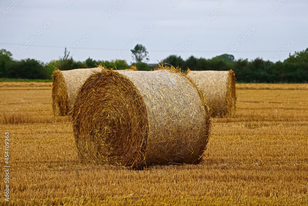 Hay bales in the field in the country side on a farm at harvest time. These stray bales and stubble fields create a golden landscape.