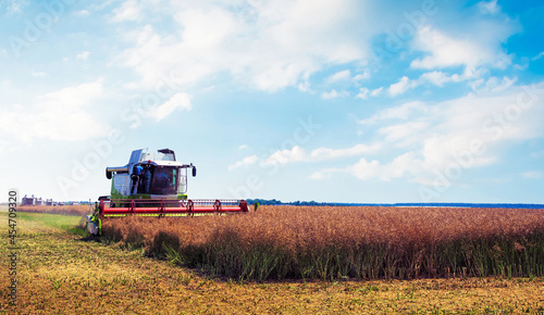 Obraz na płótnie Agroindustrial industrial landscape with combine harvesters picking up hay on a rape field on a sunny day against a background of cloudy sky. (good prosperity, food safety, jobs - endpoint) w salonie